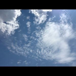 Meet your Posher, Allee